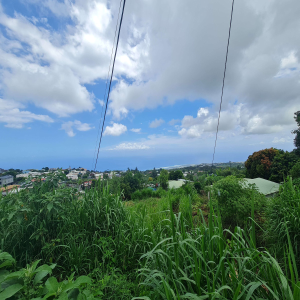 Offres de vente Terrain Trois bassins 97426