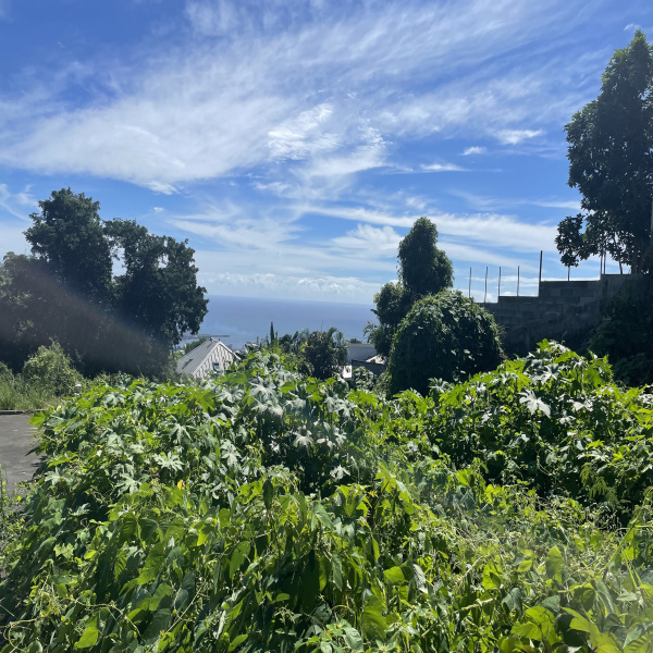 Offres de vente Terrain Possession 97419
