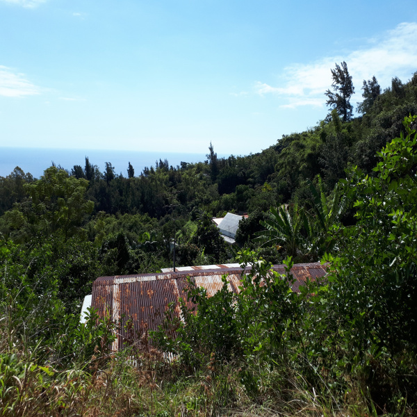 Offres de vente Terrain La Montagne 97417
